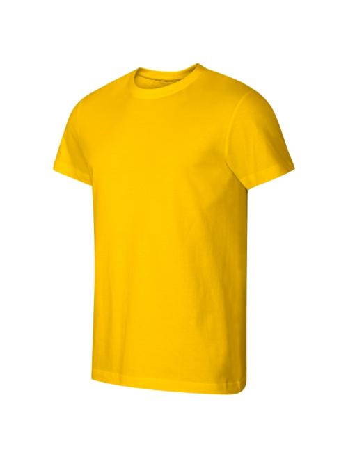 Basic Free Basic Free