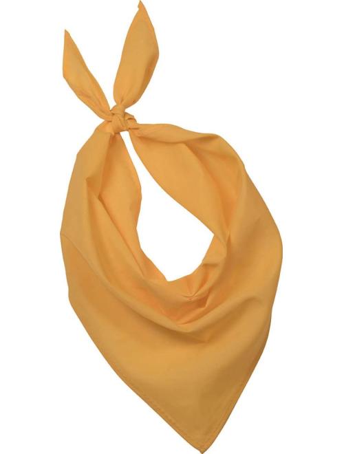 FIESTA - BANDANA