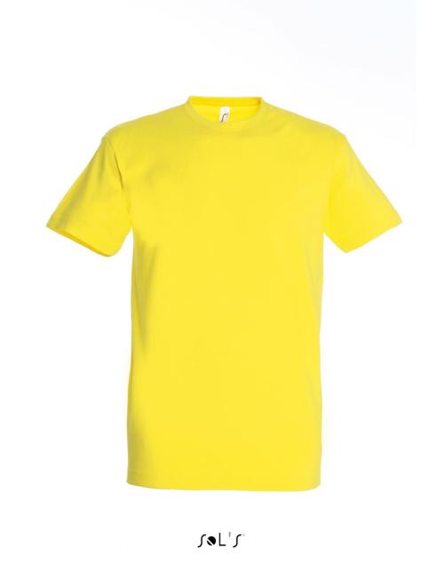 IMPERIAL MEN ROUND COLLAR T-SHIRT
