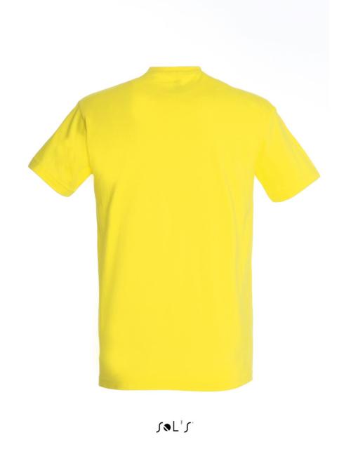 IMPERIAL MEN ROUND COLLAR T-SHIRT