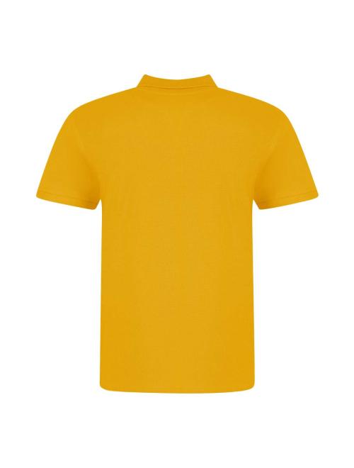 THE 100 POLO