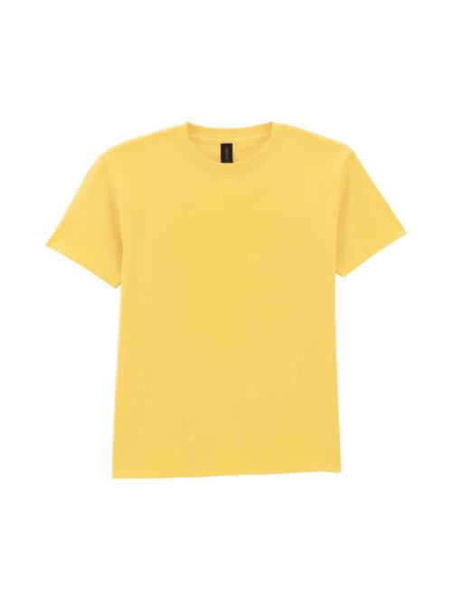 SOFTSTYLE MIDWEIGHT YOUTH T-SHIRT
