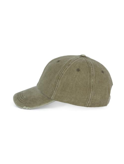 DESTROYED WASHED CAP